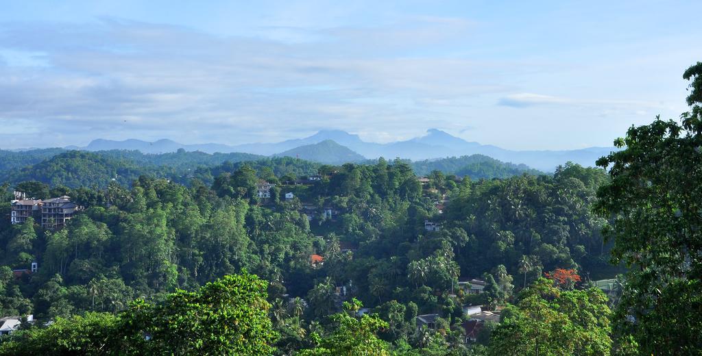 Primrose Inn Kandy Phòng bức ảnh